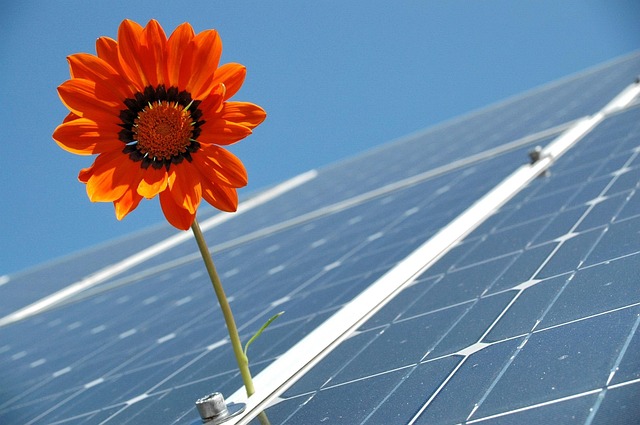 Solceller og design – sådan får du grøn energi uden at gå på kompromis